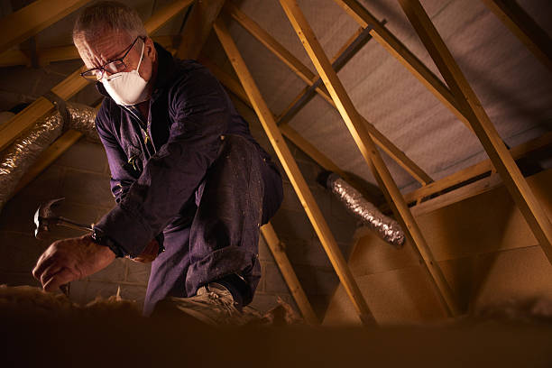 Best Commercial Insulation in Bartlett, TN